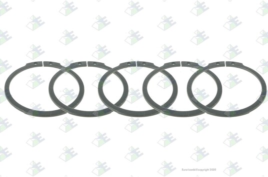 Sikringsring Euroricambi 60531334
