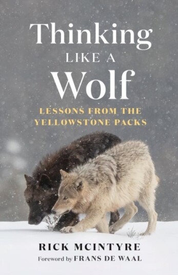 Thinking Like a Wolf Thinking Like a Wolf
