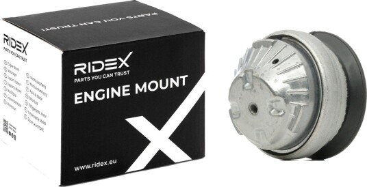 RIDEX 247E0212 Motorfeste