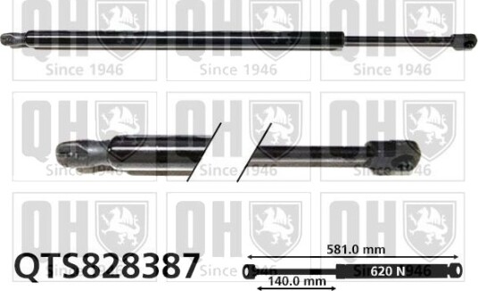 QUINTON HAZELL QTS828387 Baklukedemper