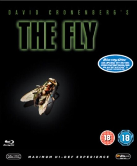 The Fly
