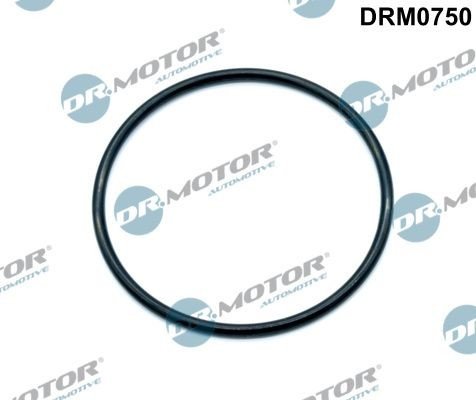 Tetning innsugningsmanifold Dr.Motor Automotive DRM0750
