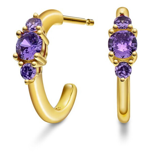 Pan Jewelry Rio Radiance øredobber i forgylt 925 sølv med lilla zirkonia