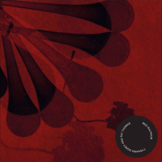 Tyshawn Sorey Red Sulphur CD