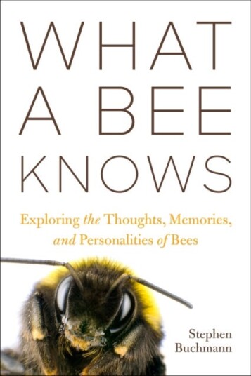 What A Bee Knows Av Stephen L Buchmann