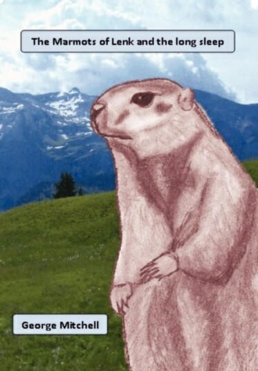 The Marmots of Lenk and the long sleep The Marmots of Lenk and the long sleep