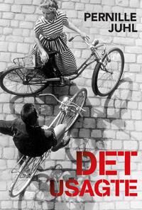 Juhl Pernille Det usagte