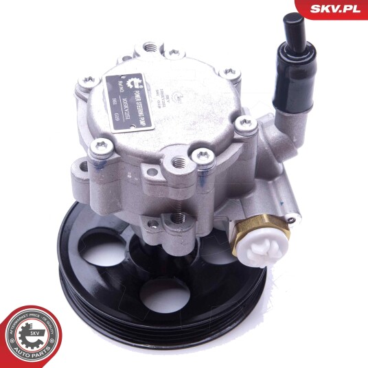 Servopumpe ESEN SKV 10SKV251