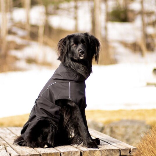 Softshell Regnavstøtende Hundedekken