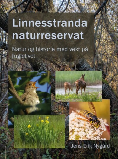 Linnesstranda naturreservat