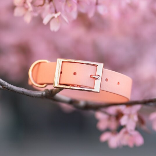Tyylivoitto Classy Hundehalsband Stor Modell Fresken (S) Tyylivoitto Classy Hundehalsband Stor Modell Fresken (S)