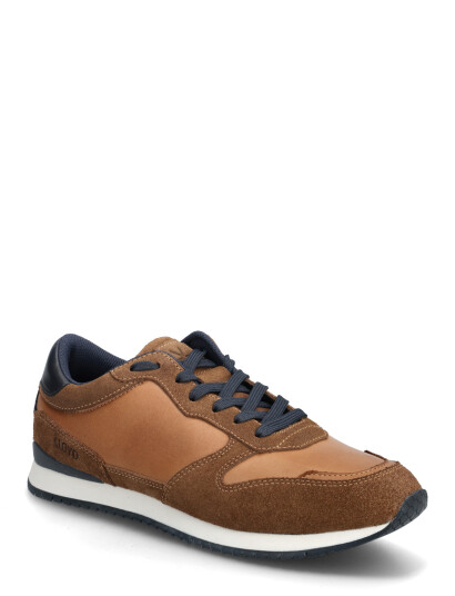 Lloyd Swift Brown 41 Lloyd Swift Brown 41