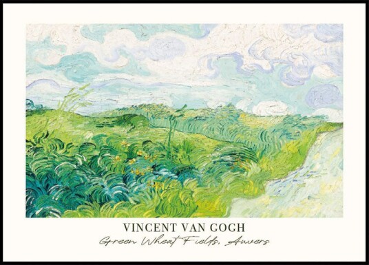 Green Wheat Fields Auvers Plakat Plakat / 30x40cm