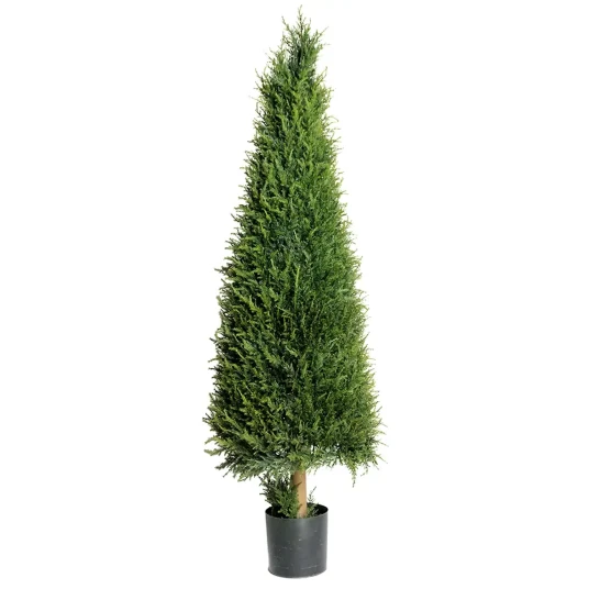 Mr Plant Gran Tre 165 cm Mr Plant Gran Tre 165 cm