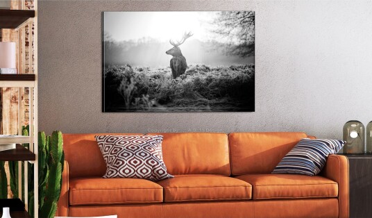 Tavle Black And White Deer 120X80 Artgeist sp. z o. o.