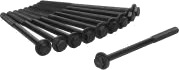 Topplokksbolter AJUSA 81065100 Topplokksbolter AJUSA 81065100