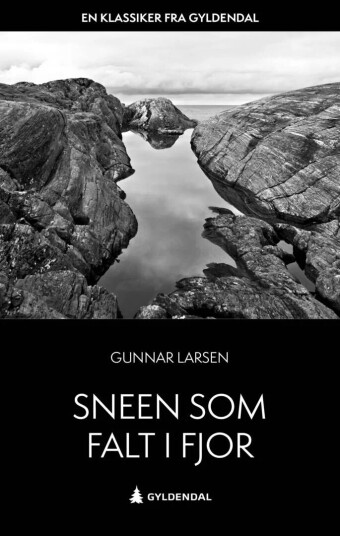 Sneen Som Falt I Fjor Av Gunnar Larsen