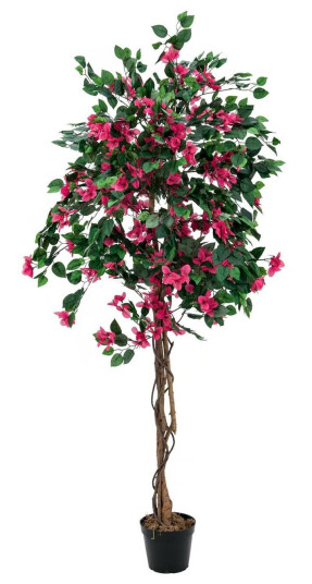 Europalms Bougainvillea, Magenta, 180cm Europalms Bougainvillea, Magenta, 180cm