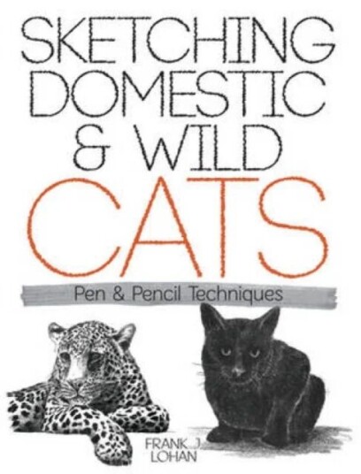 Sketching Domestic And Wild Cats Av Frank J. Lohan