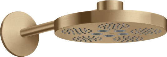 Axor One 2jet Hodedusj, Ø280 mm Med 2 stråletyper, Børstet Bronse