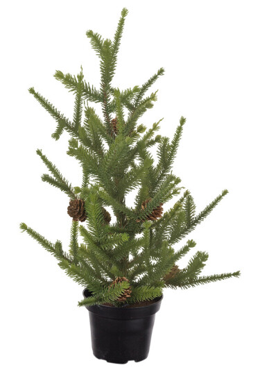 Mr. Plant Gran i potte 45 cm Mr. Plant Gran i potte 45 cm