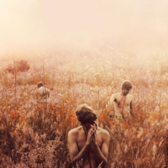 Sebastian Plano Arrhythmical Part Of Hearts LP/Vinyl Sebastian Plano Arrhythmical Part Of Hearts LP/Vinyl