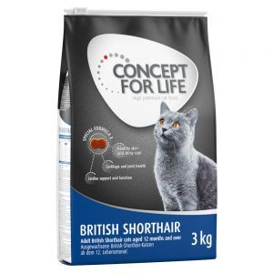 Concept For Life British Shorthair Adult Forbedret Oppskrift! 3 X 3 kg