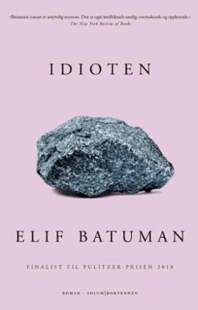 Idioten Av Elif Batuman
