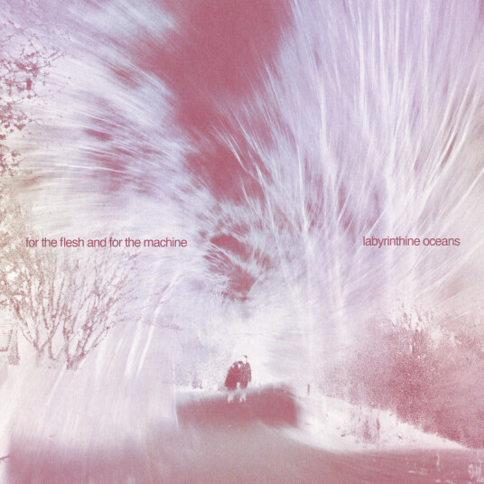 Labyrinthine Oceans For The Flesh And For The Machine CD