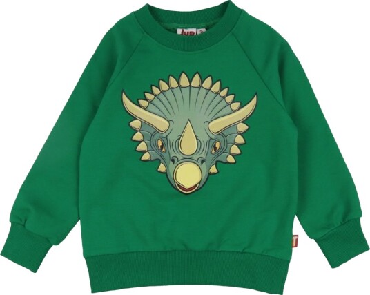 DYR Collegegenser DYRNel Green Triceratops DYR 2 år (92) Collegegenser Grønn