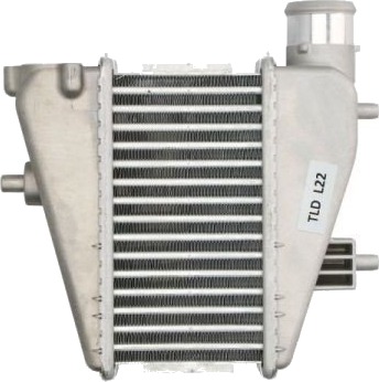 Intercooler THERMOTEC DA4001TT