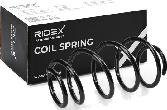 RIDEX 188C1642 Fjær