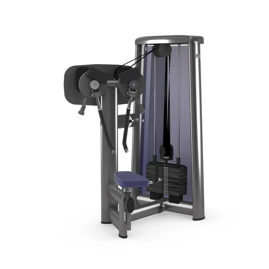 gym80 Sygnum Shoulder Lateral Raise With Grips gym80 Sygnum Shoulder Lateral Raise With Grips