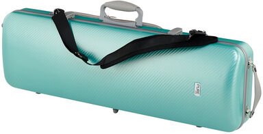 Gewa Pure Vn Case OC Fun G/G