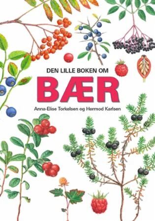 Den Lille Boken Om Bær Av Anna-Elise Torkelsen