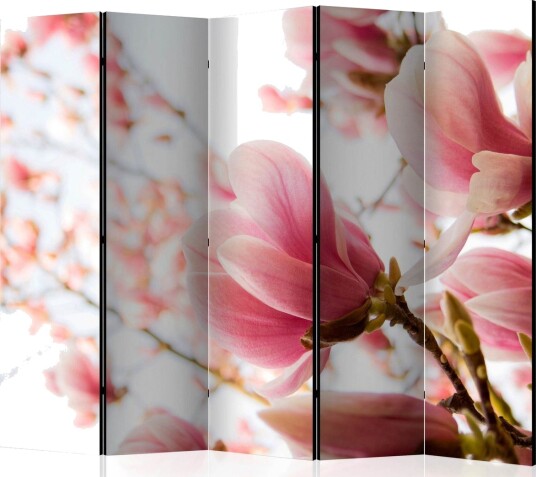 Romdeler - Pink magnolia II 225x172 - Artgeist sp. z o. o.