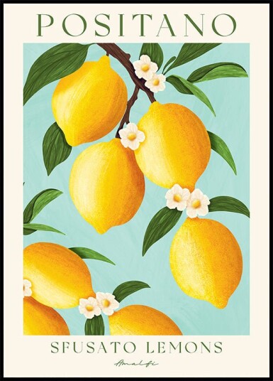 Positano Lemons Amalfi Coast Citrus Plakat Plakat / 30x40cm