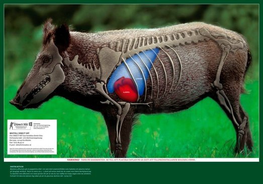 5etta Direct Hit Wild Boar 4 pakk inkl. dekkglass 5etta Direct Hit Wild Boar 4 pakk inkl. dekkglass