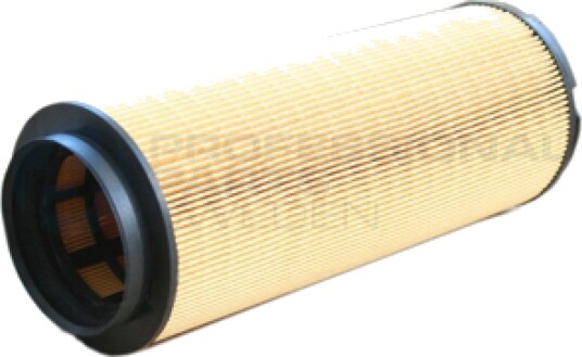 Luftfilter Professional Parts 24431488