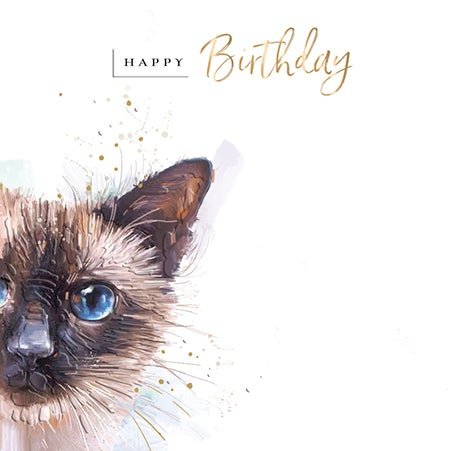 Kort Katt Happy Birthday