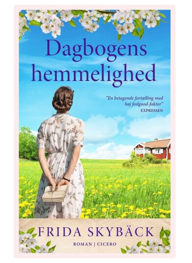 Dagbogens Hemmelighed | Frida Skybäck | Språk: Dansk