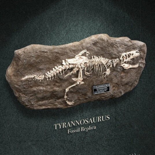 Wonders of the Wild Series TRex Fossil Replica Statue Wonders of the Wild Series TRex Fossil Replica Statue