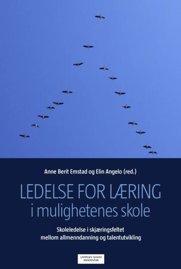 Ledelse For Læring I Mulighetenes Skole