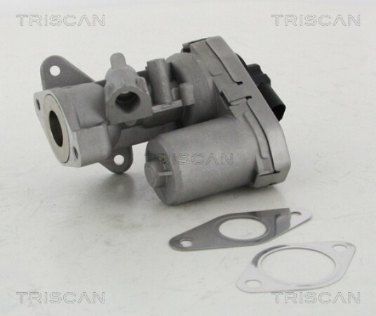 EGR Ventil TRISCAN 8813 10002 EGR Ventil TRISCAN 8813 10002