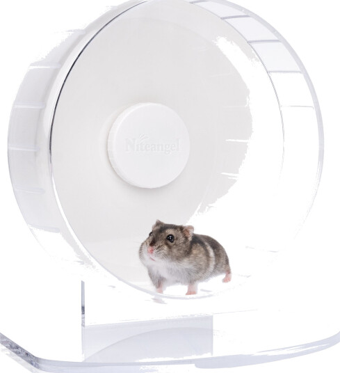 Niteangel Super Silent Hamsterhjul Transparent M Niteangel Super Silent Hamsterhjul Transparent M