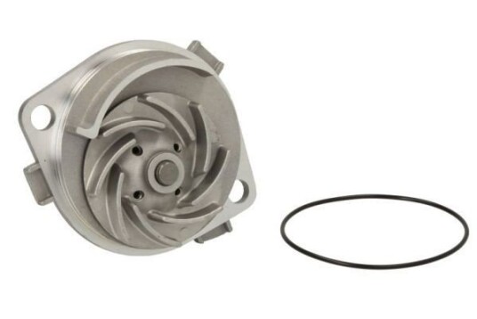 THERMOTEC D1F060TT Vannpumpe