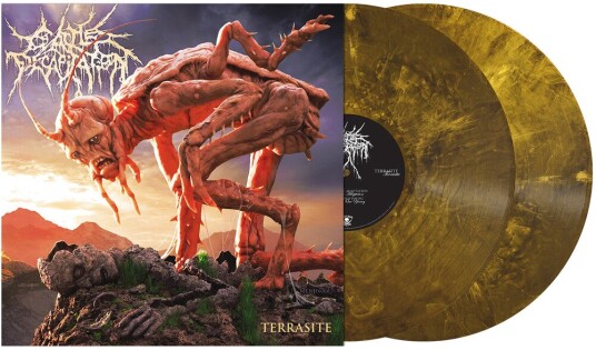 Terrasite Vinyl