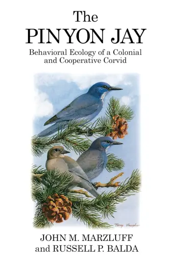 The Pinyon Jay The Pinyon Jay
