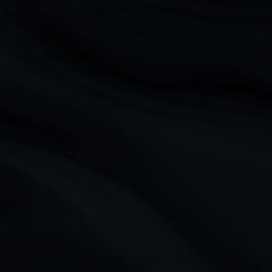 Dörr Bakgrunn I Stoff 240x290 cm Svart