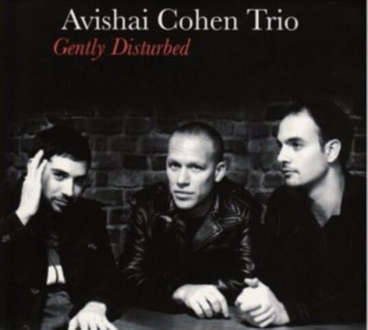 Avishai Cohen  Gently Disturbed  LP/Vinyl